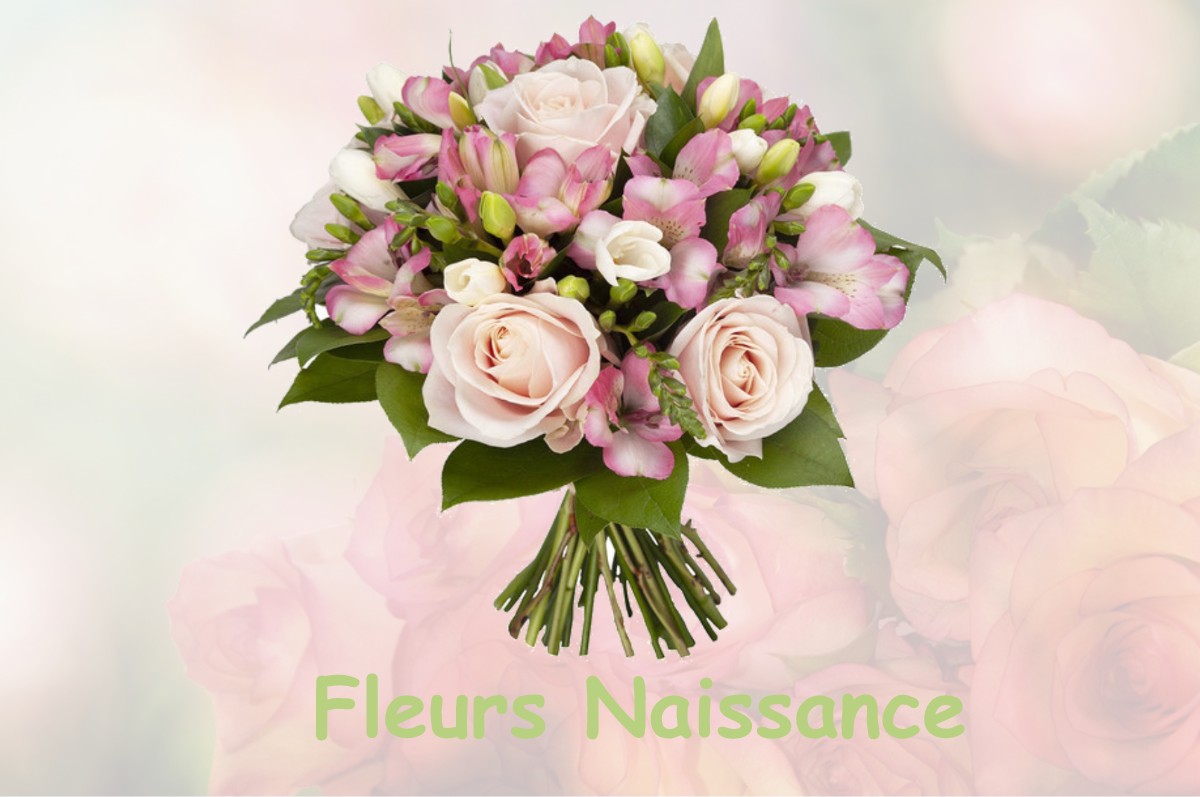 fleurs naissance MAGNY-FOUCHARD